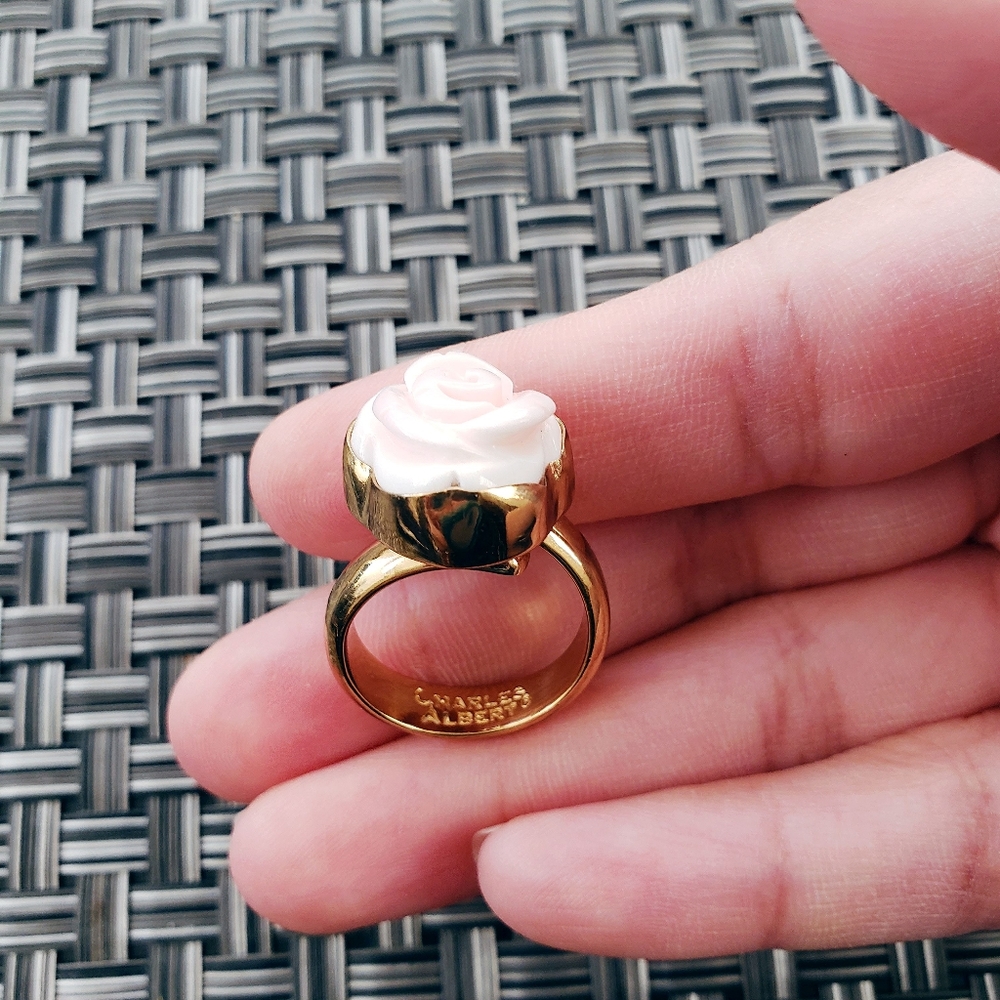 Charles Albert Ring - Picture 2 of 5